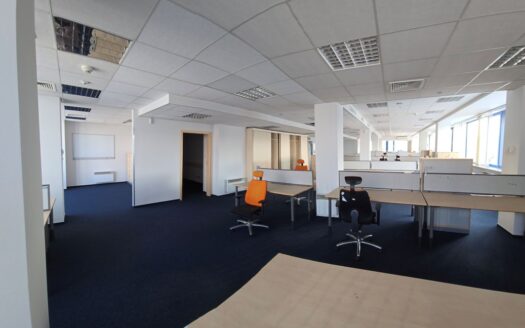 Lokal biurowy 772,03 m2