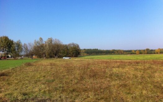 Działka z WZ 90km od Warszawy-Płońsk-Płock-Raciąż