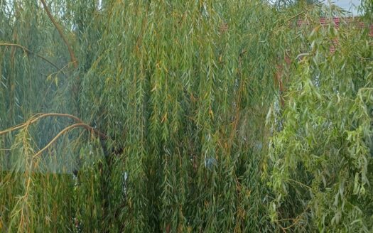 Sprzedam mieszkanie klima