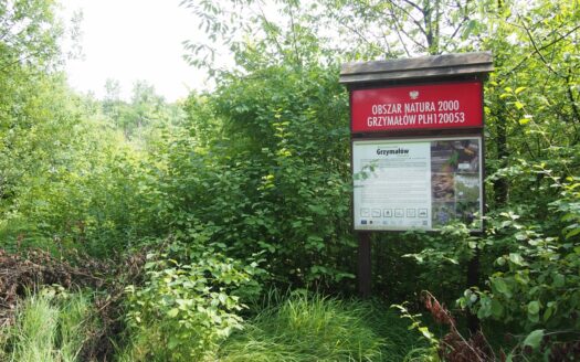 działka rekreacyjna