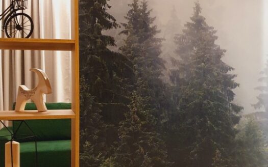 Chwaliszewo komfortowe mieszkanie