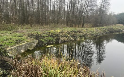 Las i staw – na sprzedaż działki rolne.