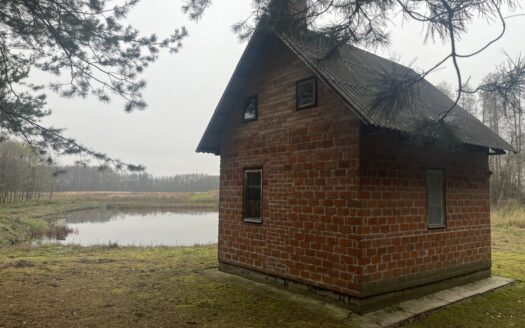 Las i staw – na sprzedaż działki rolne.