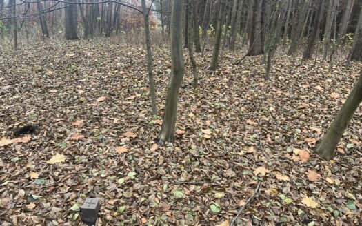 Las i staw – na sprzedaż działki rolne.