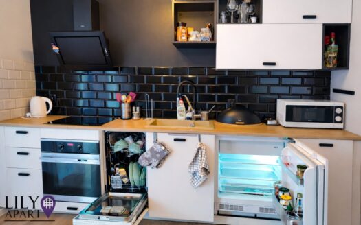 Kawalerka przy planowanej PKM | inwestycja