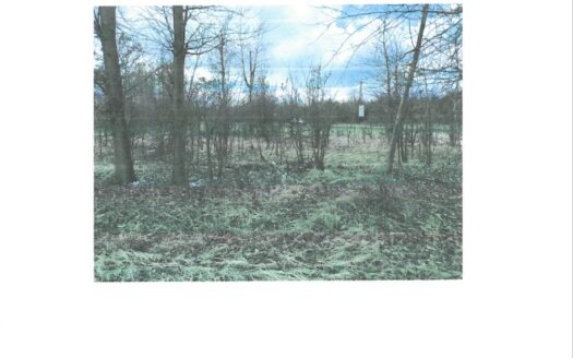 Nieruchomość gruntowa w miejscowości Żyglinek