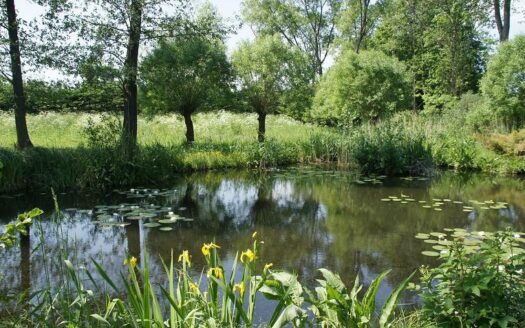 Działka z linią brzegową Rukławki
