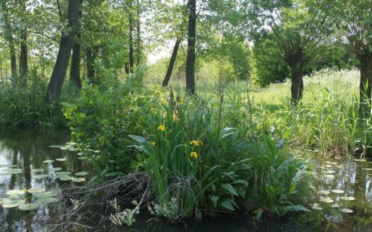 Działka z linią brzegową Rukławki