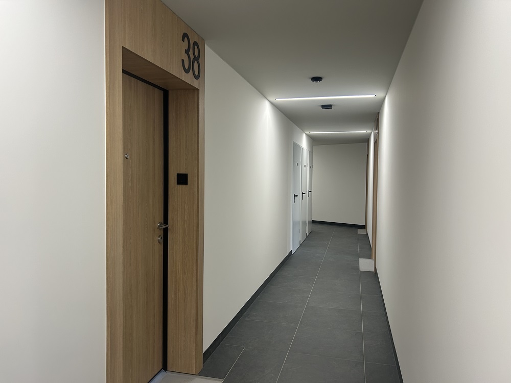 video image
