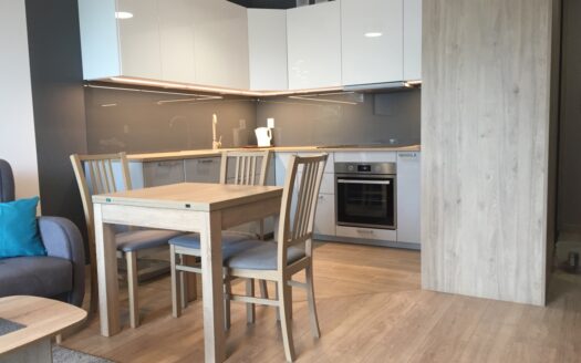 Apartament – super lokalizacja – Wille Jana