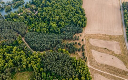 Na sprzedaż działki rekreacyjne w lesie, Wrocław