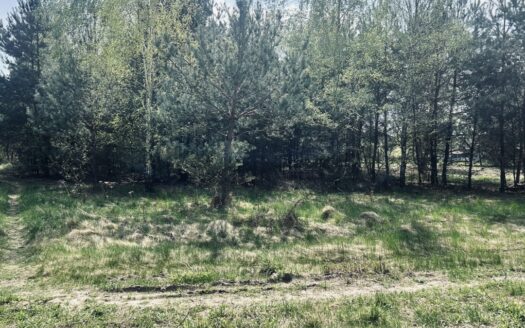 Sprzedam działką puszcza kampinoska