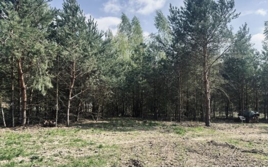 Sprzedam działką puszcza kampinoska