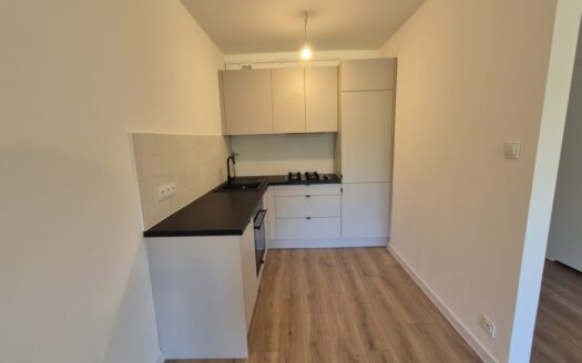 BEZPOŚREDNIO mieszkanie 2 pokoje, 39,1m2