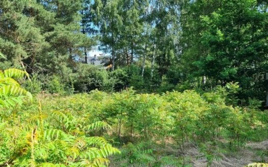 Wyjątkowa działka 200 m od jeziora – Demlin