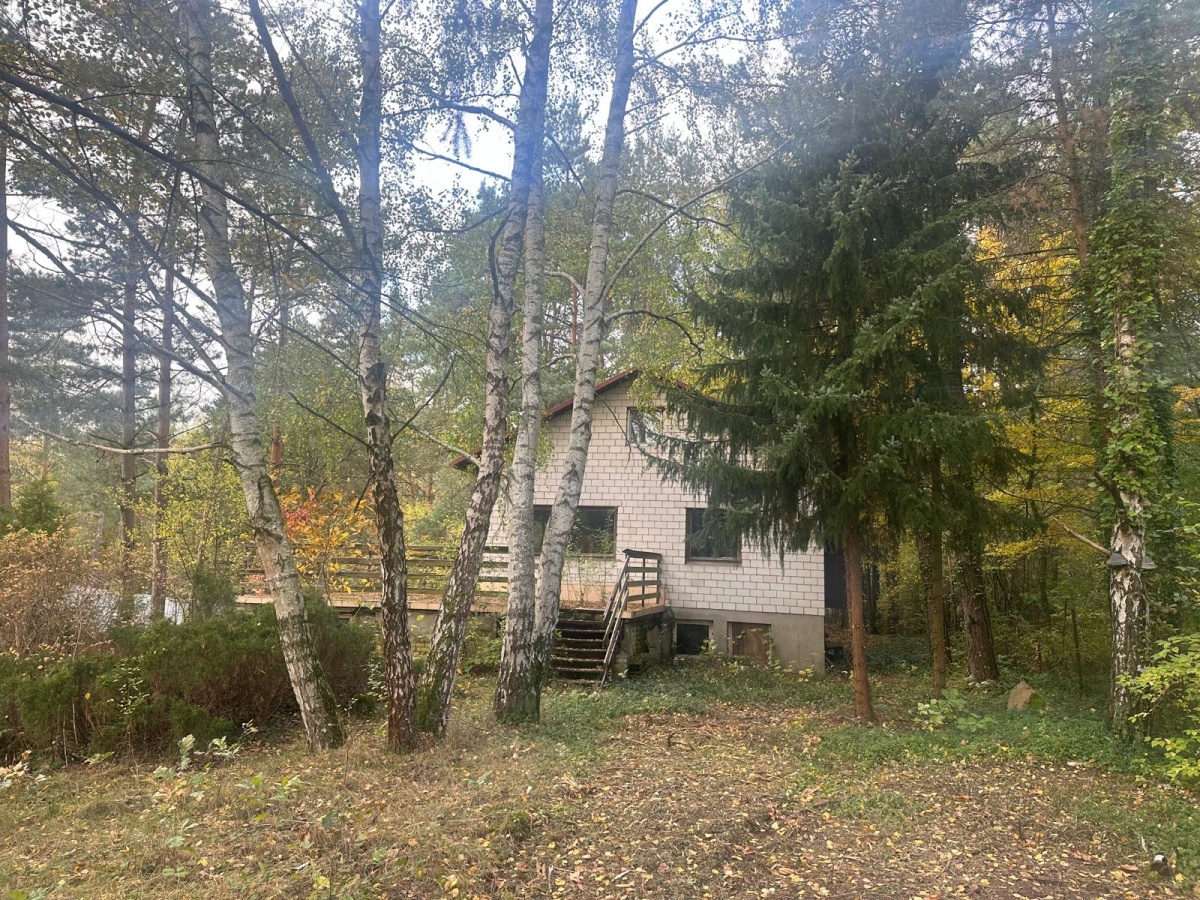 video image
