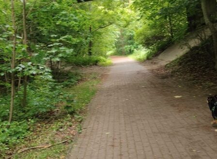 Atrakcyjna działka budowlana Skarszewy