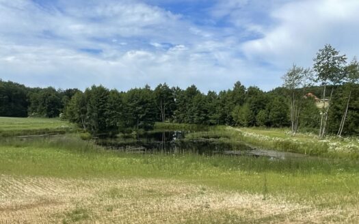 1,56ha DZIAŁKA BUDOWLANA ZE STAWEM 35min od Gdańsk