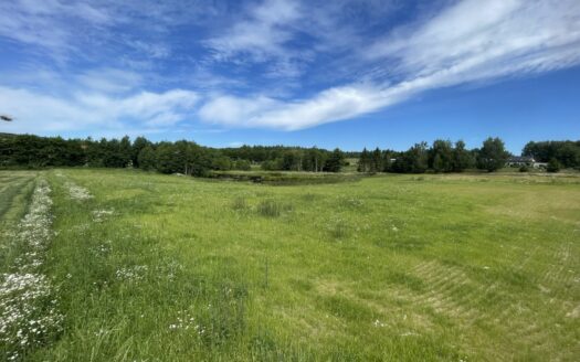 1,56ha DZIAŁKA BUDOWLANA ZE STAWEM 35min od Gdańsk
