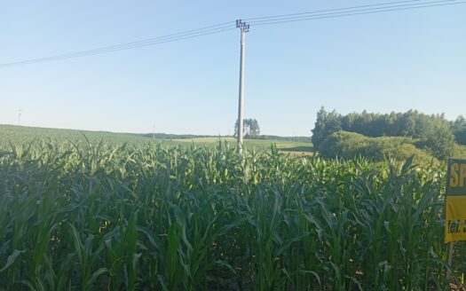Sprzedam działkę przy drodze Stare Miasto