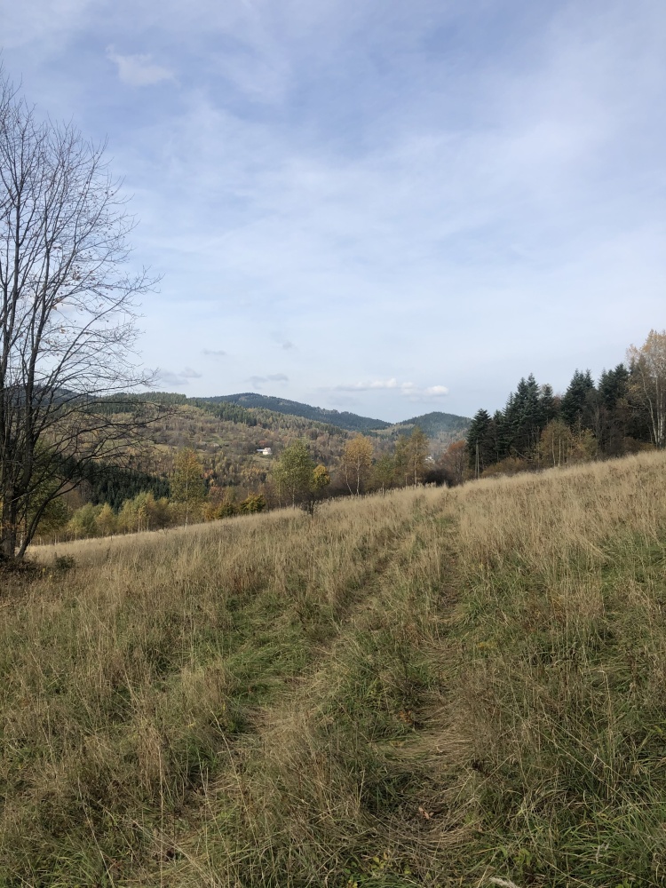 video image