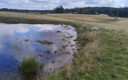 Mazury Puszcza Borecka Działka Rolna 12,4469 ha