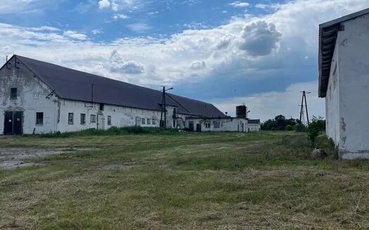 Ferma trzoda/drobiu