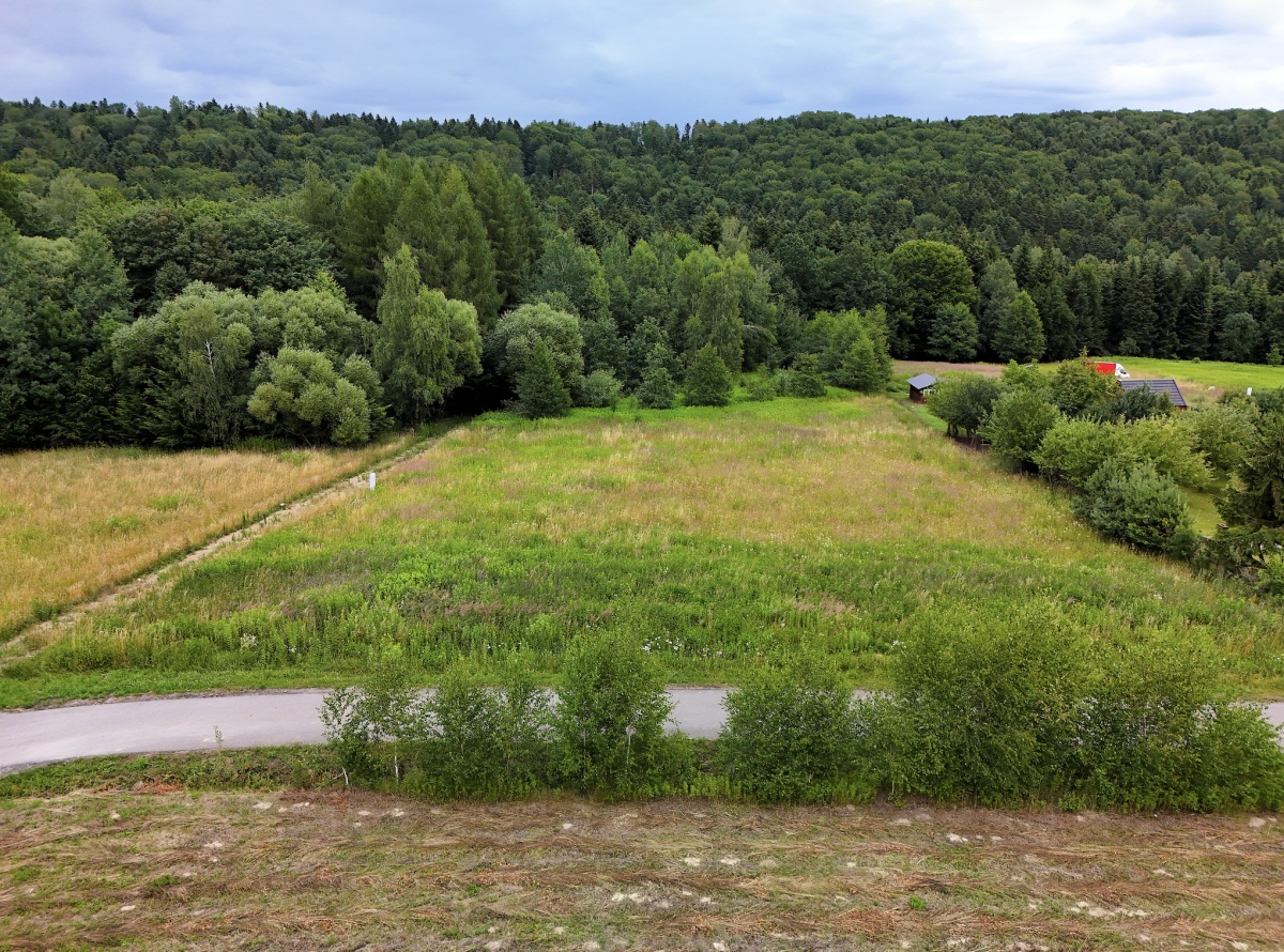 video image