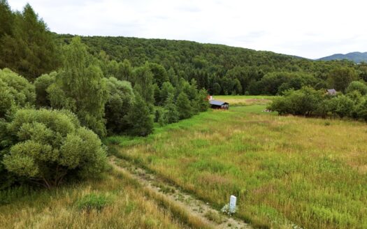 Działka budowlana pod lasem – 1730m2, WZ, prąd