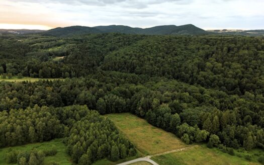Działka budowlana pod lasem – 1730m2, WZ, prąd