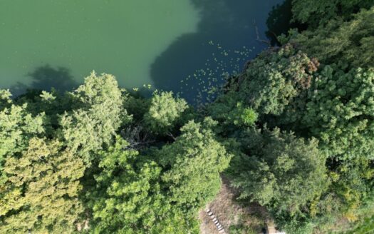 Działka z WZ, linią brzegową jeziora i winnicą