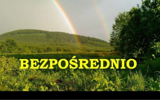 Słoneczna wszystkomająca dz. Myślenice Trzemeśnia