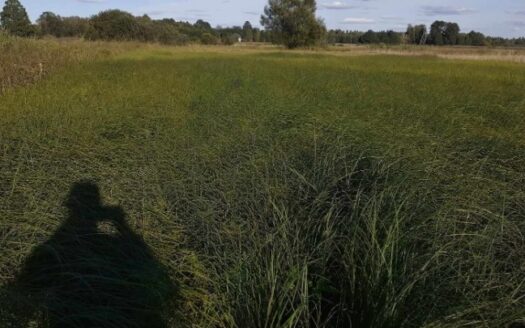 Działka z linią brzegową- kamper, przyczepa,namiot