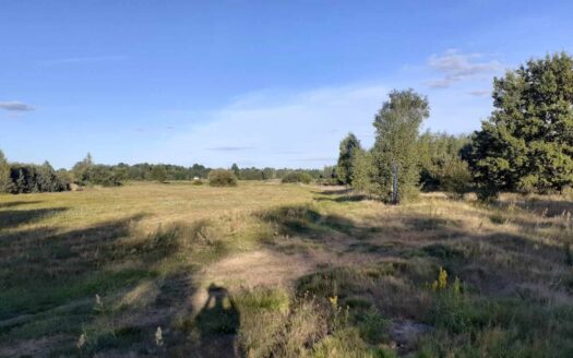 Działka z linią brzegową- kamper, przyczepa,namiot