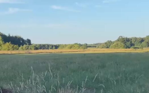 Działka z linią brzegową- kamper, przyczepa,namiot