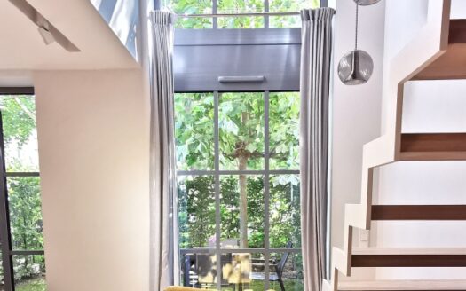 apartament z ogrodem w centrum miasta