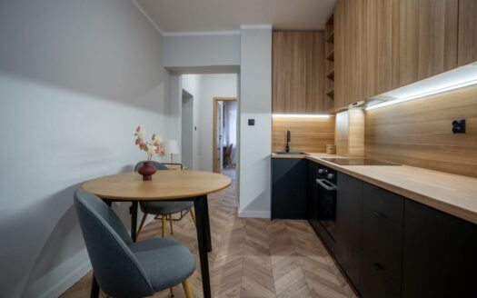 Mieszkanie w centrum Katowic/Galeria-Dworzec PKP
