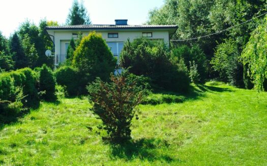Siedlisko Pasieka 43