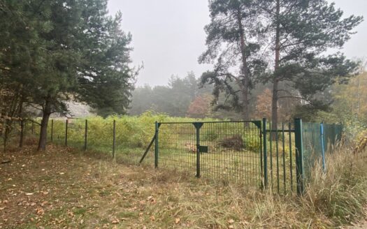 Pruszewiec, koło Tuczna – bajeczna działka w lesie