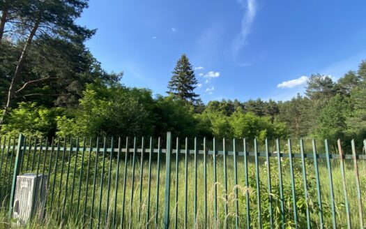 Pruszewiec, koło Tuczna – bajeczna działka w lesie