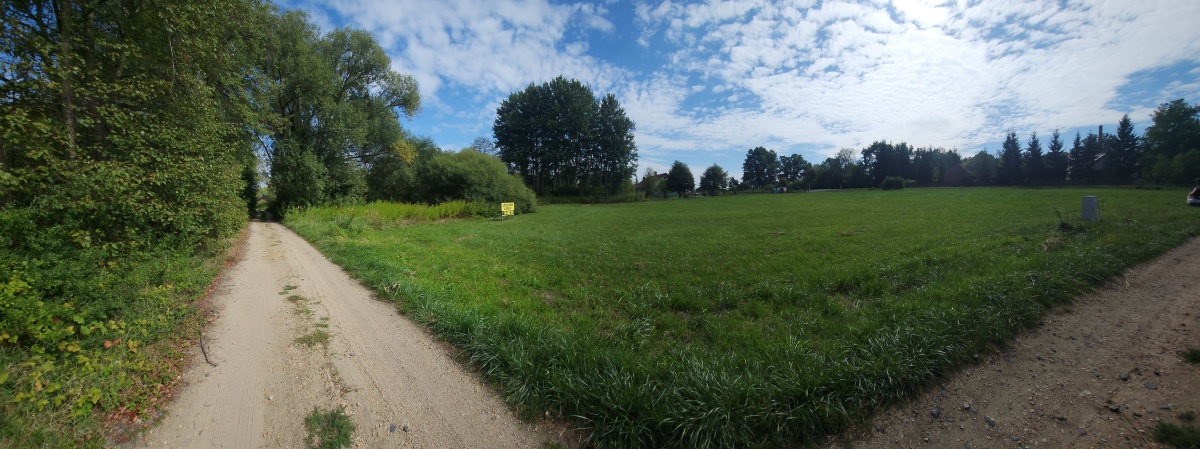 video image