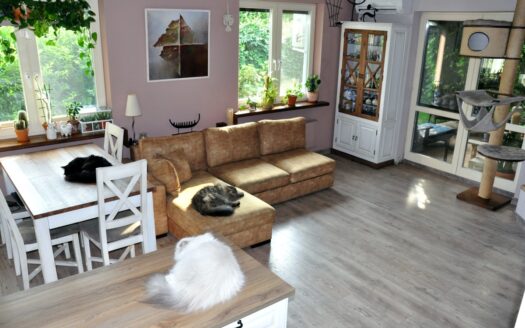 Zalew Zegrzyński | 136 m² | duży ogród | oranżeria