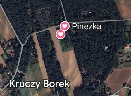 Działka Kruczy Borek Narwia bezpośrednio