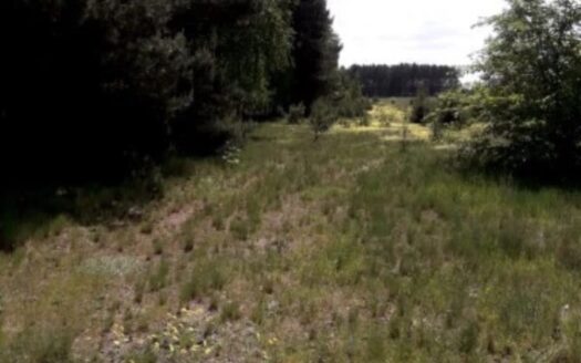 Działka Kruczy Borek Narwia bezpośrednio