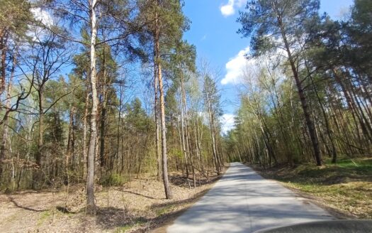 Działki budowlane pod lasem gmina Warka , Borowe
