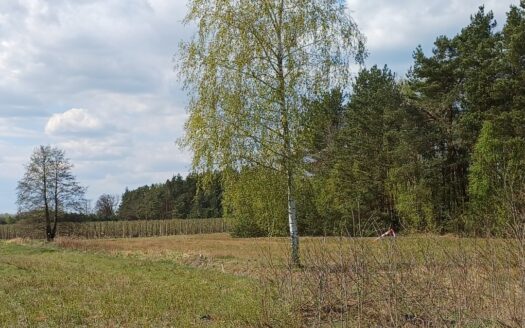 Działki budowlane pod lasem gmina Warka , Borowe