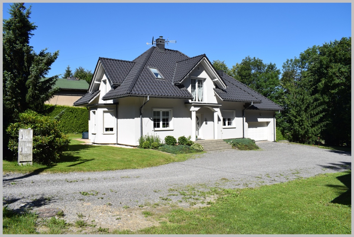 video image