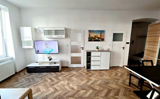 W pełni umeblowane mieszkanie w centrum Bytomia