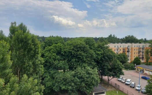 do wynajęcia od 1.11