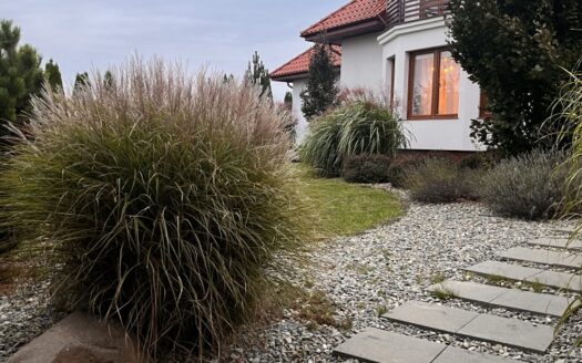 Wolnostojący 168 m² | 1207 m² | garaż 2 auta